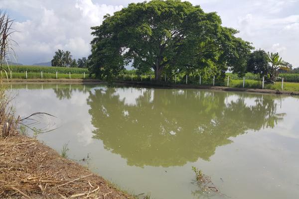LA VICTORIA, SE VENDE HERMOSA FINCA A PUERTA CERRADA