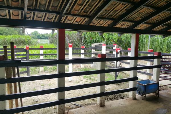 LA VICTORIA, SE VENDE HERMOSA FINCA A PUERTA CERRADA