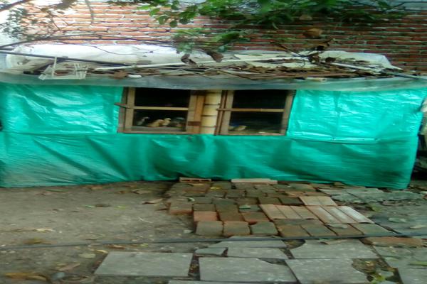  SAN PEDRO VALLE 2 KM ANTES DEL PEAJE SE VENDE FINCA