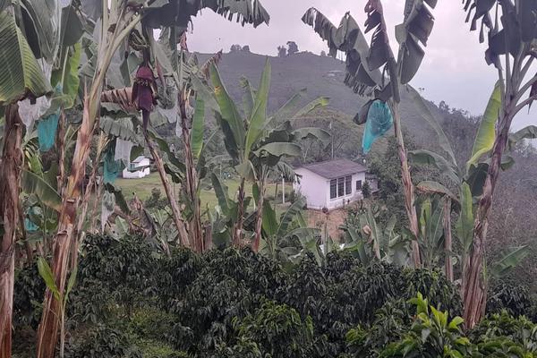 VENTA DE FINCA EN CEILAN VIA LA MARINA