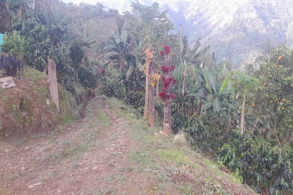 VENTA DE FINCA EN CEILAN VIA LA MARINA